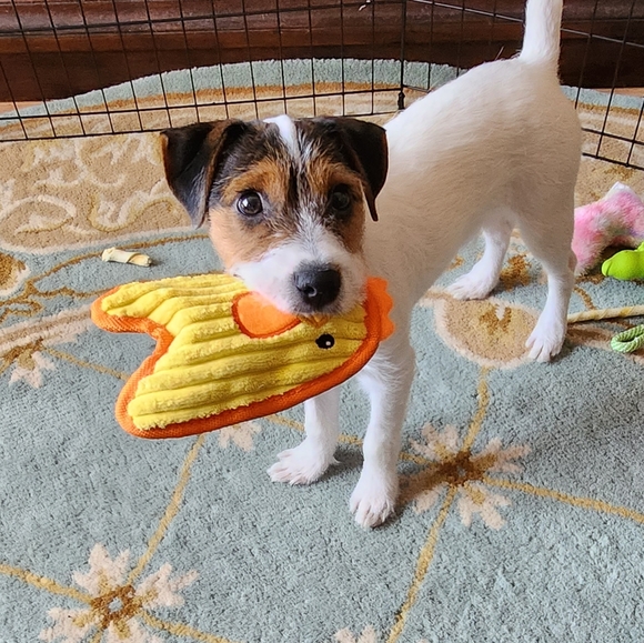 @bethybd LIVE TONIGHT NYE! 6pmEST Feeling Festive  Details⬇️Use➕️/Deals&Givey!🎉 - Picture 10 of 16